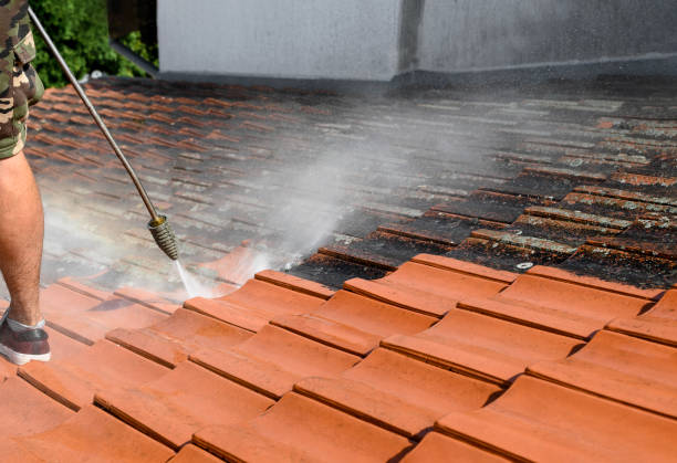 Best Pressure Washing Company Near Me  in Northglenn, CO
